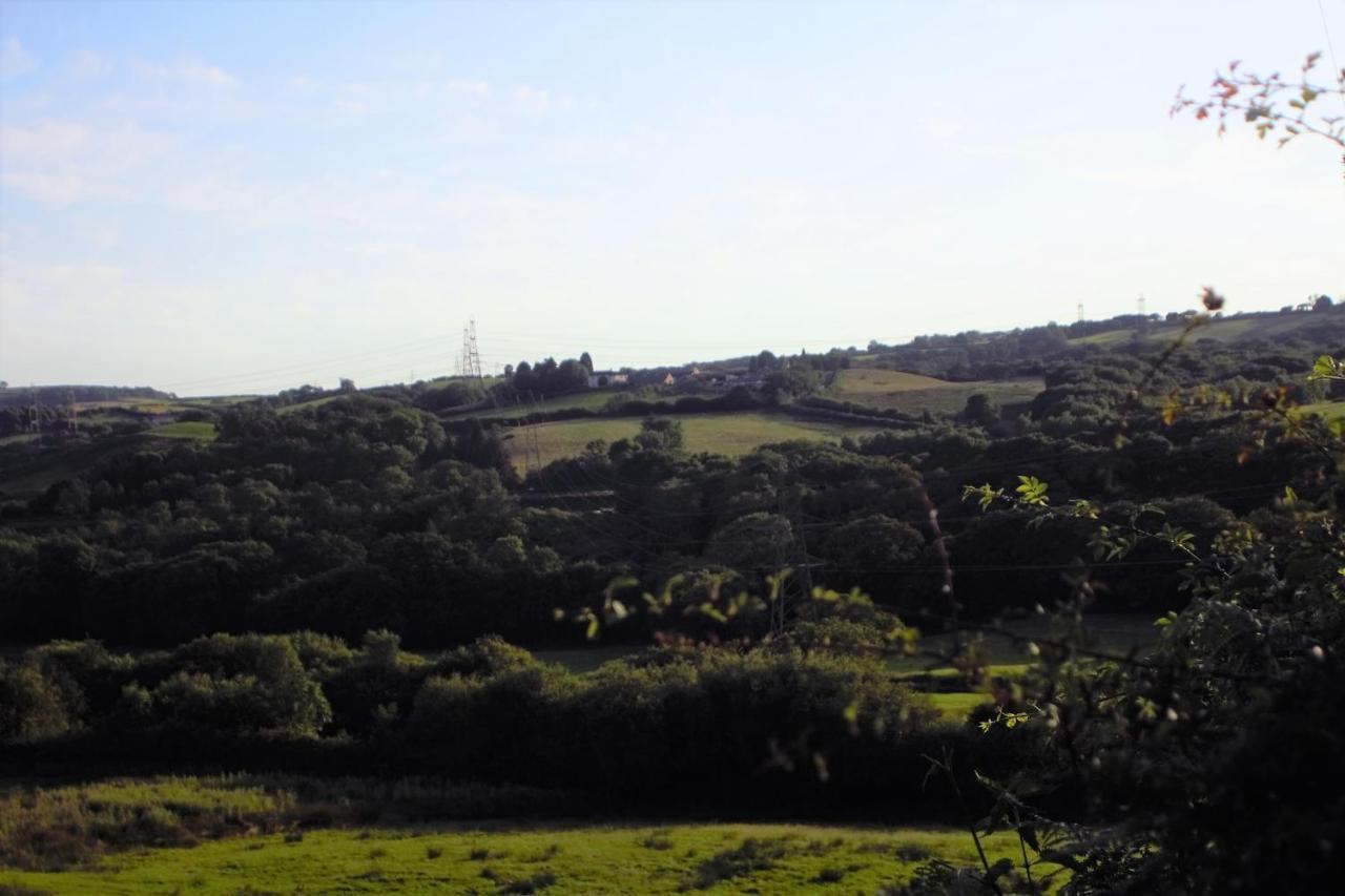 Plas Newydd Farm Llanedy Eksteriør bilde