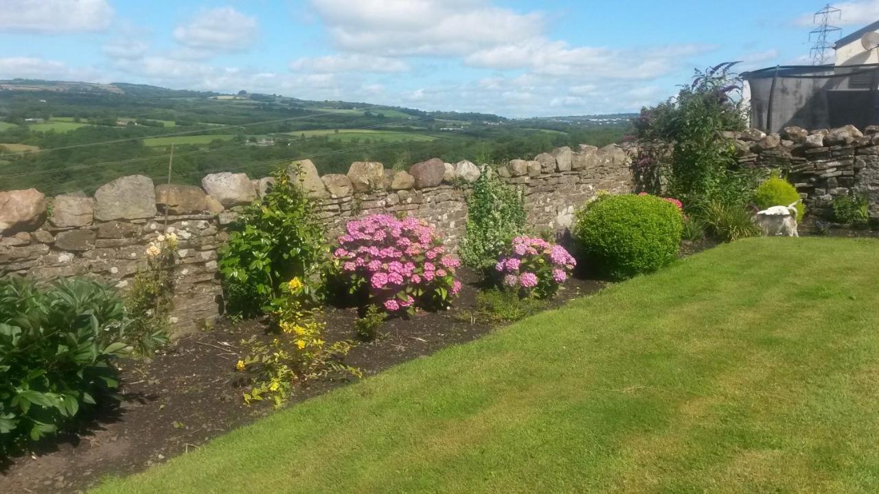 Plas Newydd Farm Llanedy Eksteriør bilde